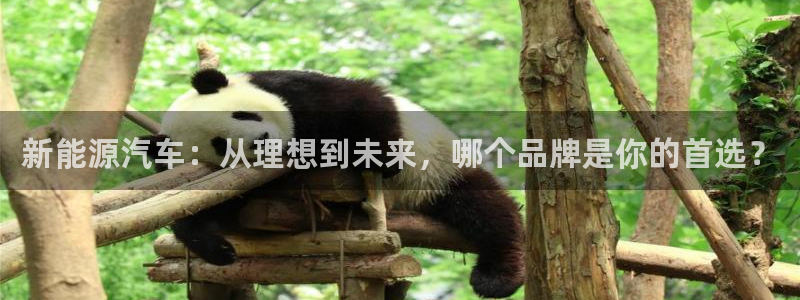 娱乐门徒88