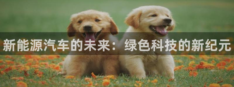 门徒娱乐注册地址查询：新能源汽车的未来：