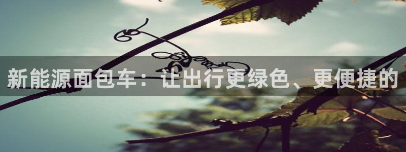门徒娱乐平台代理