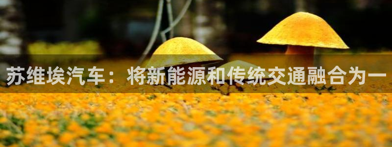 门徒娱乐最新消息今天直播