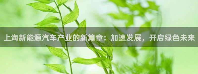 娱乐门徒吧