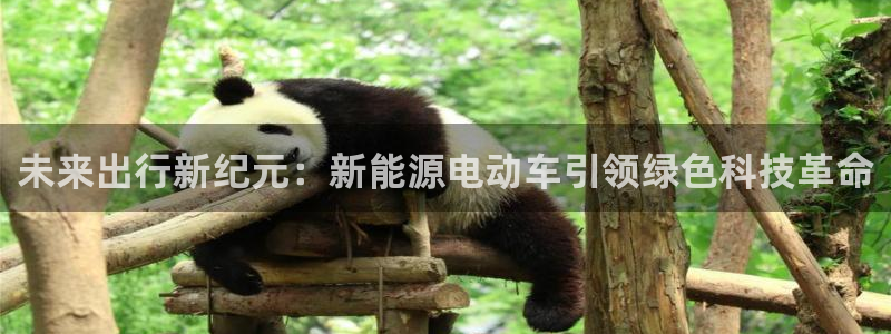 门徒娱乐主管=天神779O3：未来出行新