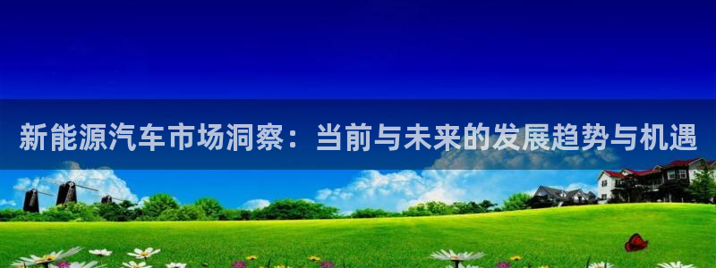 门徒娱乐圈主管的是谁啊：新能源汽车市场洞