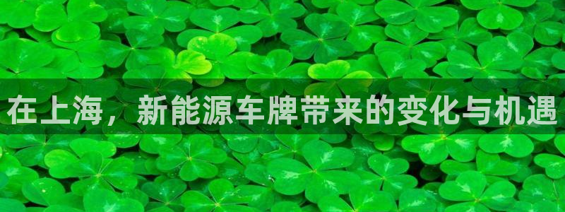 门徒娱乐是:在上海,新能源车牌带来的变化与机遇