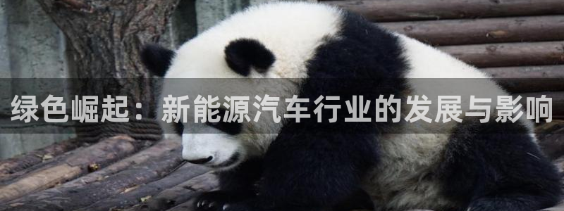 门徒娱乐平台网址是什么:绿色崛起:新能源汽车行业的发展与影响