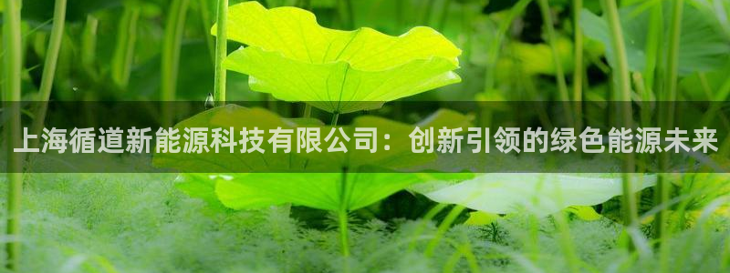 娱乐门徒北洋天下:上海循道新能源科技有限公司:创新引领的绿色