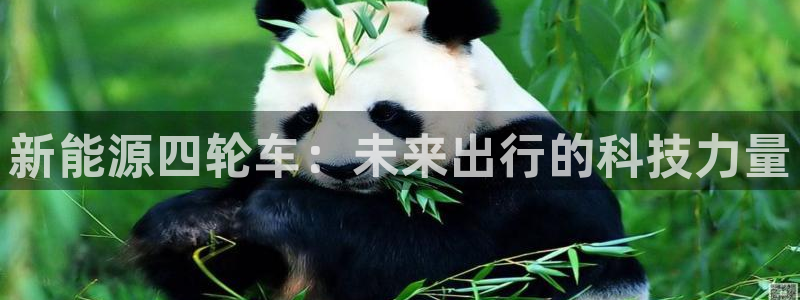 娱乐圈曼巴门徒:新能源四轮车:未来出行的科技力量