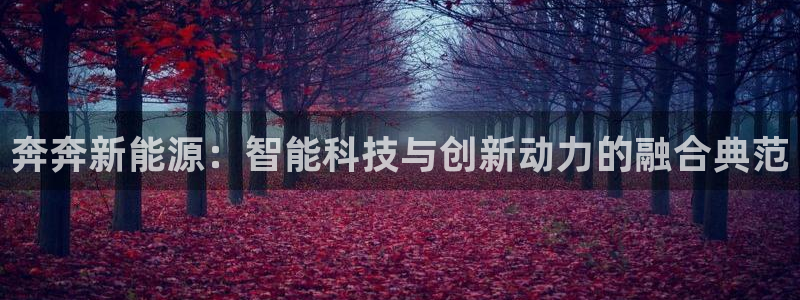门徒娱乐开奖平台下载:奔奔新能源:智能科技与创新动力的融合典