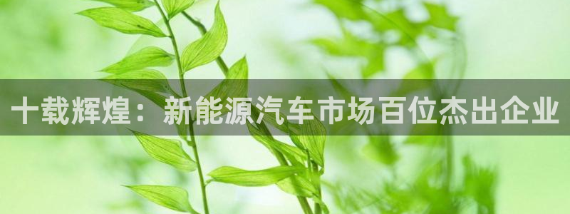 门徒娱乐期刊判官333oo:十载辉煌:新能源汽车市场百位杰出