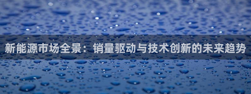 门徒娱乐盈利:新能源市场全景:销量驱动与技术创新的未来趋势