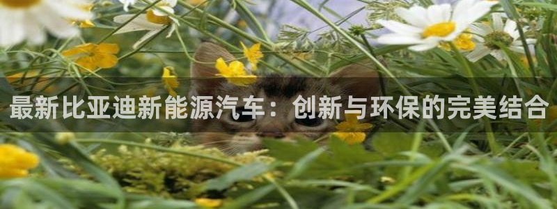 门徒娱乐是真假的嘛