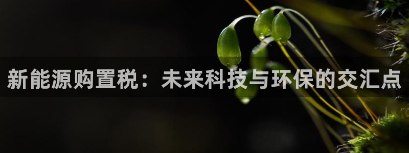 门徒娱乐招商可去判官333OO