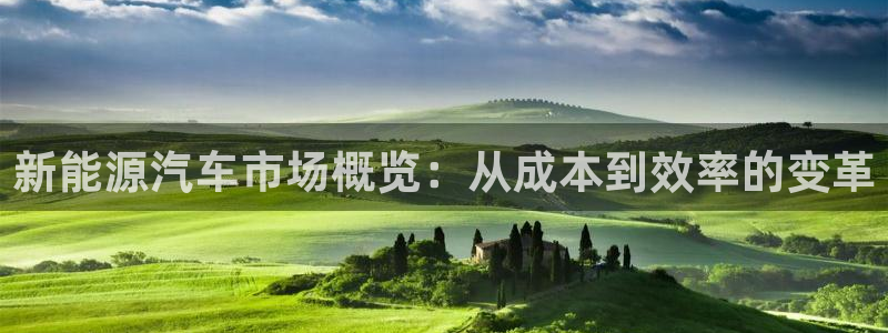 门徒娱乐app下载：新能源汽车市场概览：