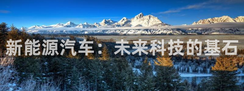 门徒娱乐右原把判官333OO:新能源汽车:未来科技的基石