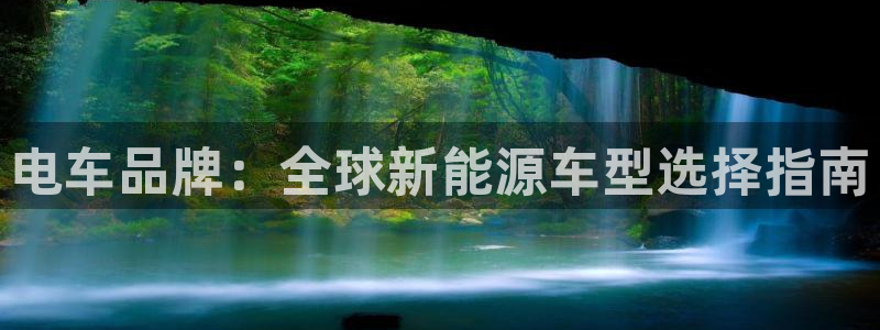 门徒娱乐怎么样知乎:电车品牌:全球新能源车型选择指南