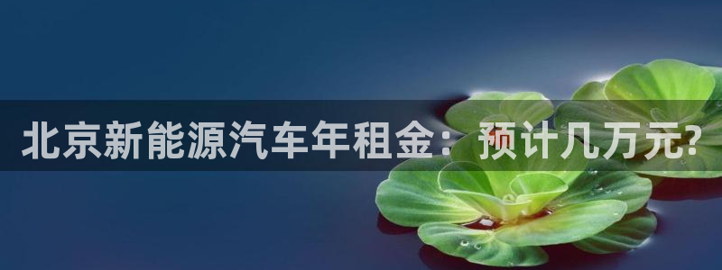 类似娱乐门徒这种的小说:北京新能源汽车年租金:预计几万元?