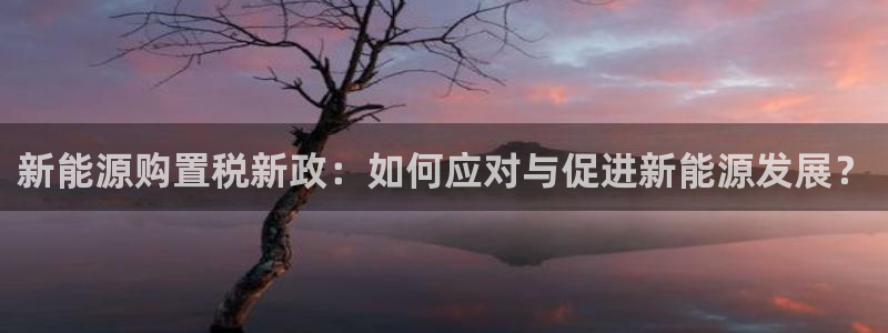 门徒娱乐十年老总身价:新能源购置税新政:如何应对与促进新能源