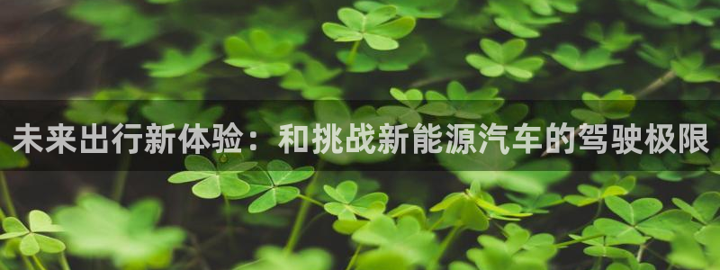 门徒剧照新浪娱乐:未来出行新体验:和挑战新能源汽车的驾驶极限