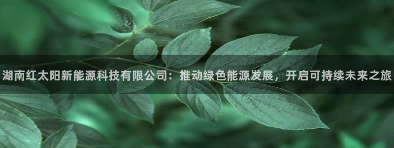 门徒娱乐注册独判官333OO:湖南红太阳新能源科技有限公司: