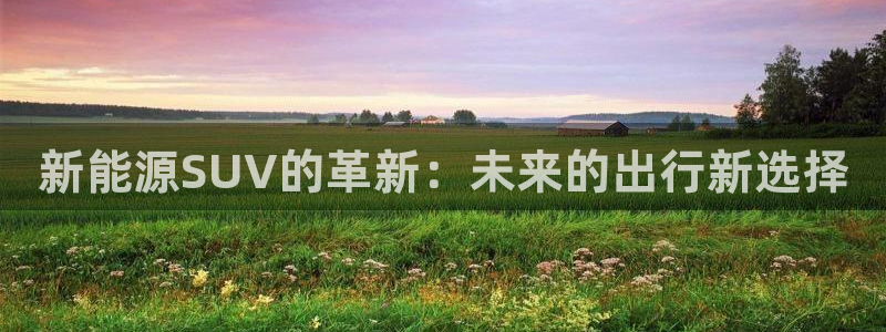 门徒娱乐平台登录网站:新能源SUV的革新:未来的出行新选择