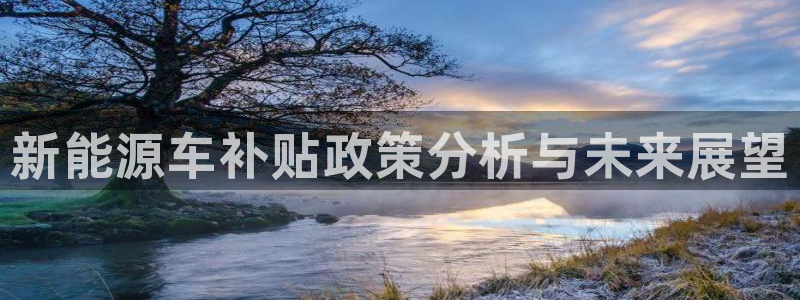 门徒娱乐圈主管:新能源车补贴政策分析与未来展望