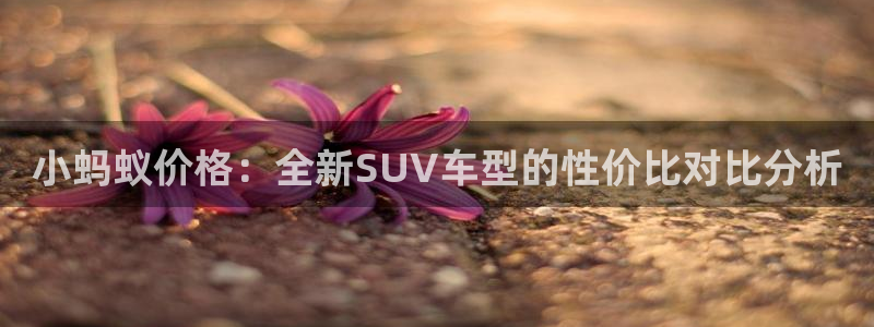 门徒彩票娱乐平台大代理:小蚂蚁价格:全新SUV车型的性价比对