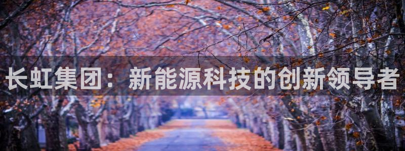 门徒娱乐 - 门徒娱乐注册app平台:长虹集团:新能源科技的