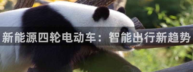 门徒娱乐盈利怎么样啊