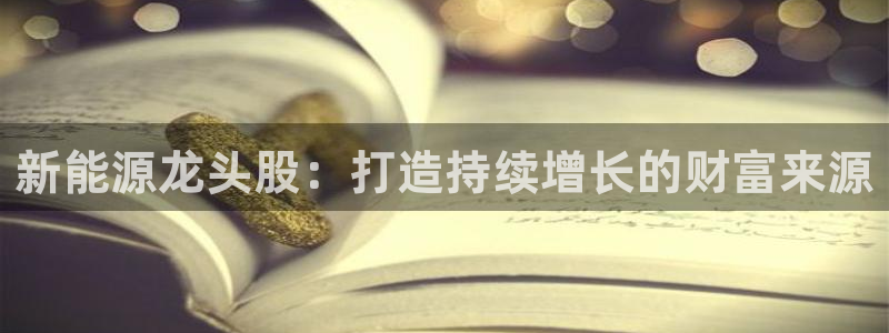 娱乐门徒免费下载：新能源龙头股：打造持续