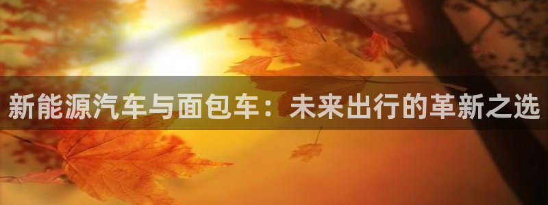 门徒娱乐退款：新能源汽车与面包车：未来出