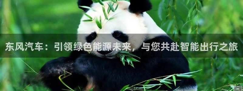 门徒娱乐网站：东风汽车：引领绿色能源未来