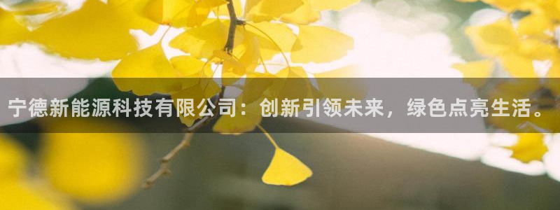 门徒娱乐注册可判官333OO:宁德新能源科技有限公司:创新引