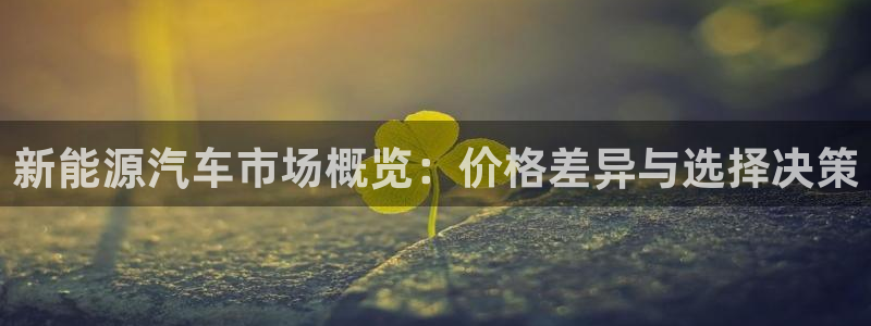 门徒娱乐平台登录网址:新能源汽车市场概览:价格差异与选择决策