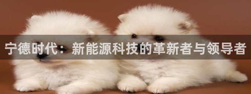 门徒娱乐用户评价与反馈:宁德时代:新能源科技的革新者与领导者