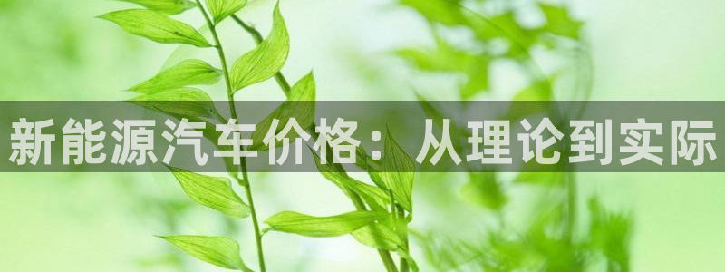 门徒娱乐充钱是真的吗:新能源汽车价格:从理论到实际
