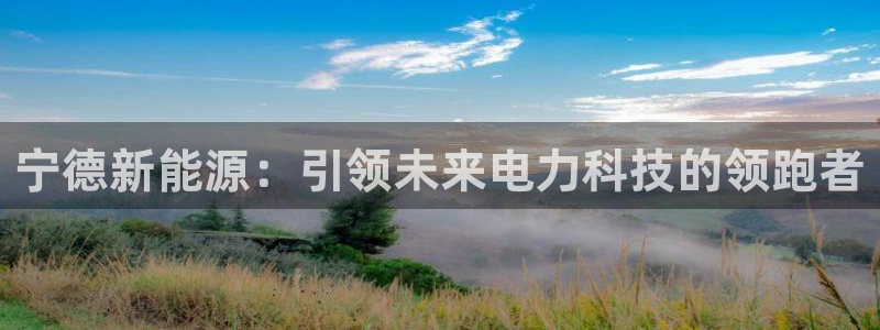门徒娱乐联盟怎么样:宁德新能源:引领未来电力科技的领跑者