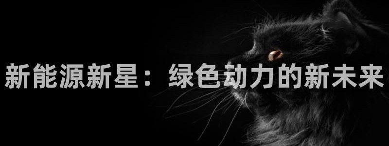 门徒娱乐代理待遇好吗