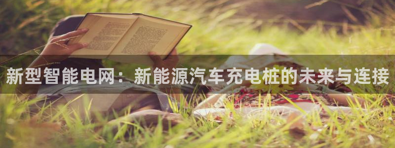 门徒娱乐盈利怎么样知乎：新型智能电网：新