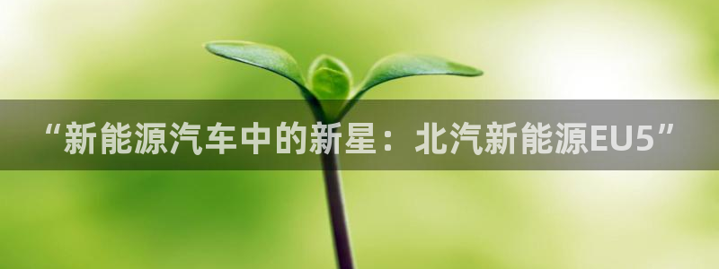 门徒娱乐主管下去判官333OO