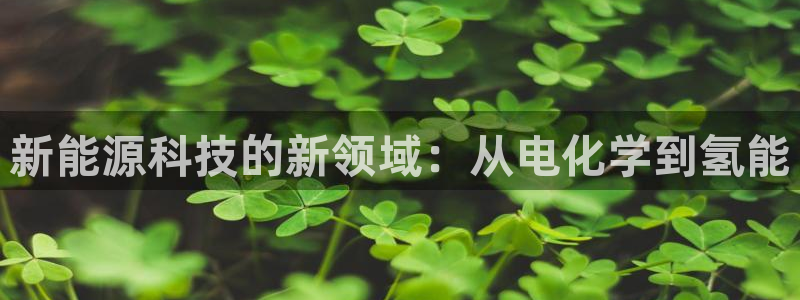 门徒娱乐圈主管的是谁呀