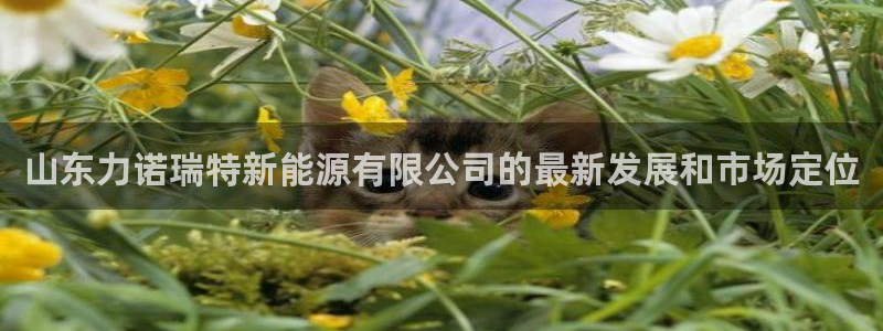 门徒娱乐网页版登录