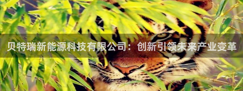 门徒娱乐怎么挂机赚钱