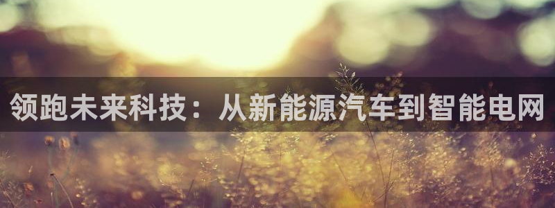 门徒娱乐怎么注册公司