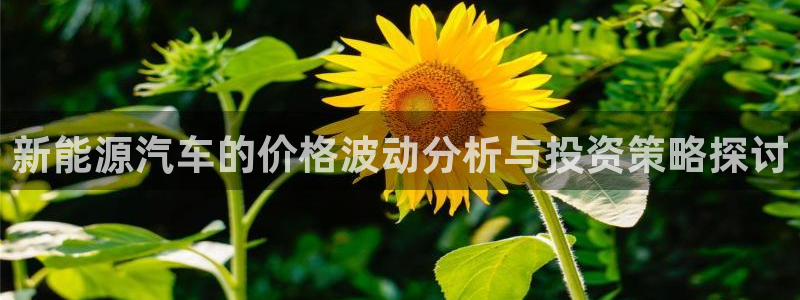 娱乐门徒百度云：新能源汽车的价格波动分析