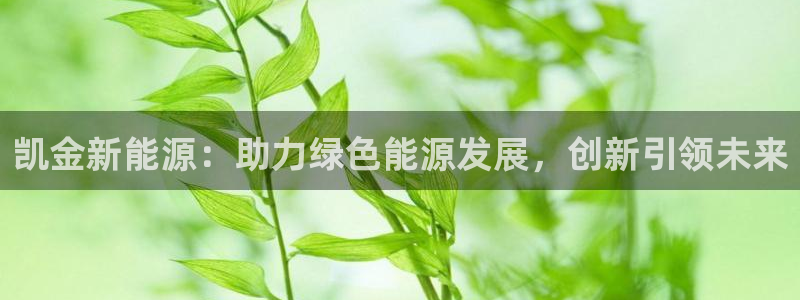 门徒娱乐圈主管报道：凯金新能源：助力绿色