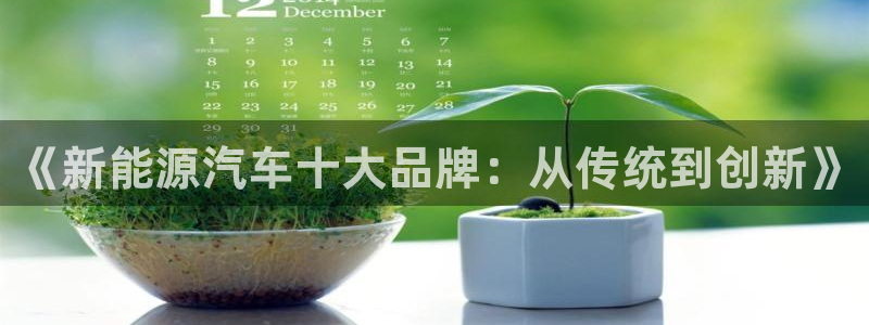 门徒9娱乐:《新能源汽车十大品牌:从传统到创新》