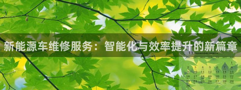 门徒娱乐登录注册不了：新能源车维修服务：