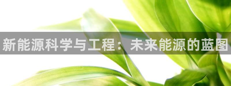 门徒娱乐会13判官3O678:新能源科学与工程:未来能源的蓝