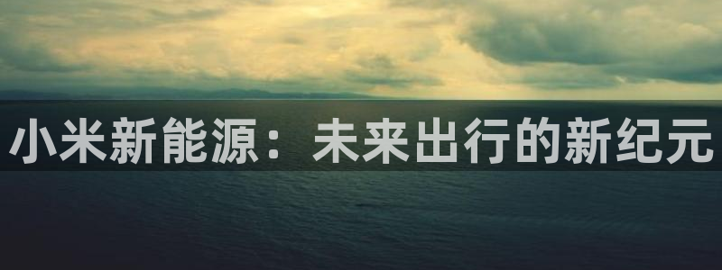 门徒娱乐项目介绍文案：小米新能源：未来出