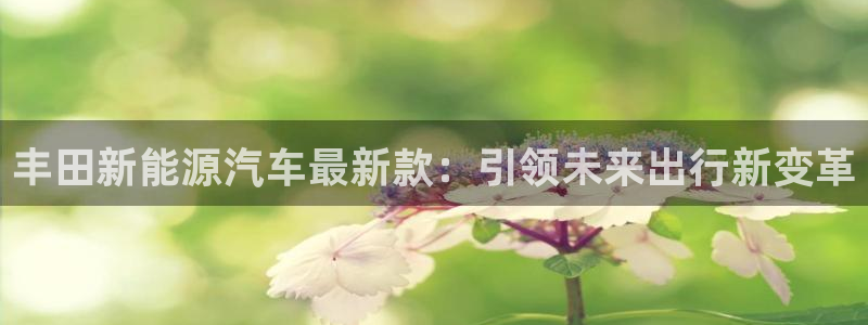 门徒娱乐网站官网：丰田新能源汽车最新款：